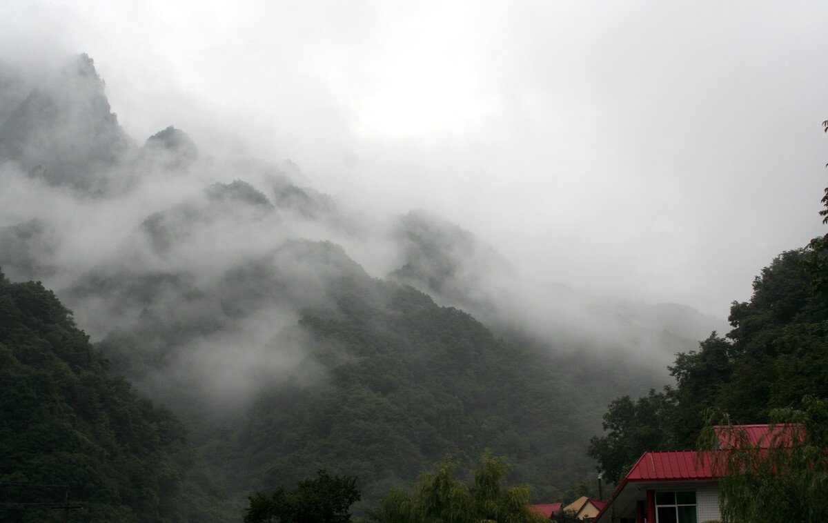 人生就是博尊龙ag旗舰厅猕猴桃风景区.jpg